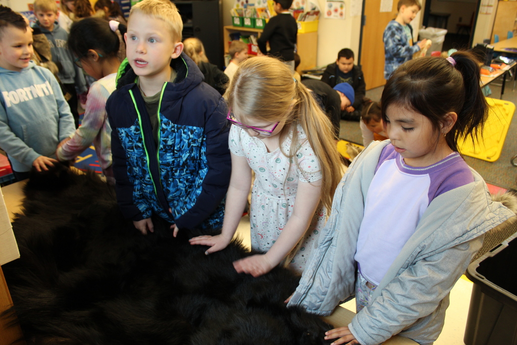 CFL first graders touching a bear hide